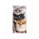 Husa Personalizata ALLVIEW A5 Duo Lazy Cats