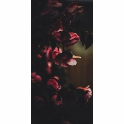 Husa Personalizata NOKIA 3.1 Plus (2018) Roses