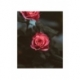 Husa Personalizata HUAWEI Honor V30 \ V30 Pro Red Roses