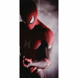 Husa Personalizata XIAOMI Mi 10T (5G) Spiderman