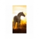 Husa Personalizata ALLVIEW P6 Energy Lite White Horse