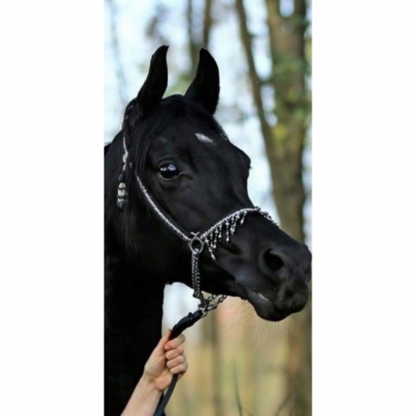 Husa Personalizata ALLVIEW P6 Energy Lite Black Horse