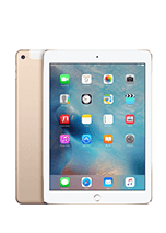 iPad Air 2 9.7" (2014)